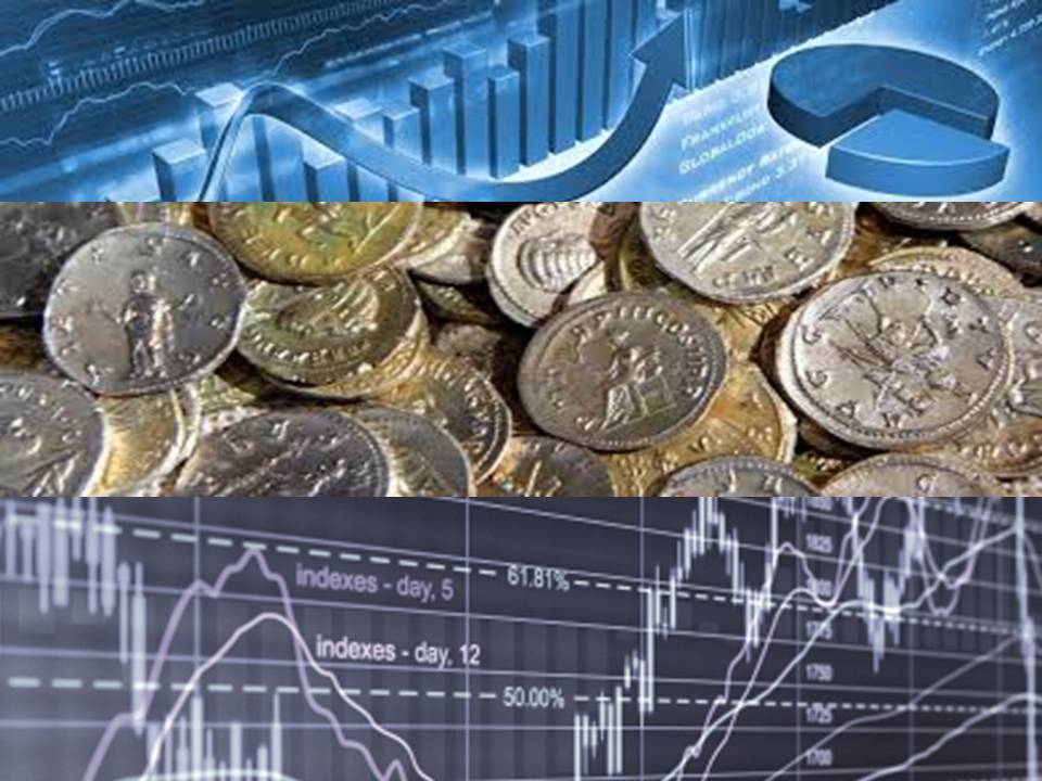 bimac NIC / NIC Financial analysis for professionals